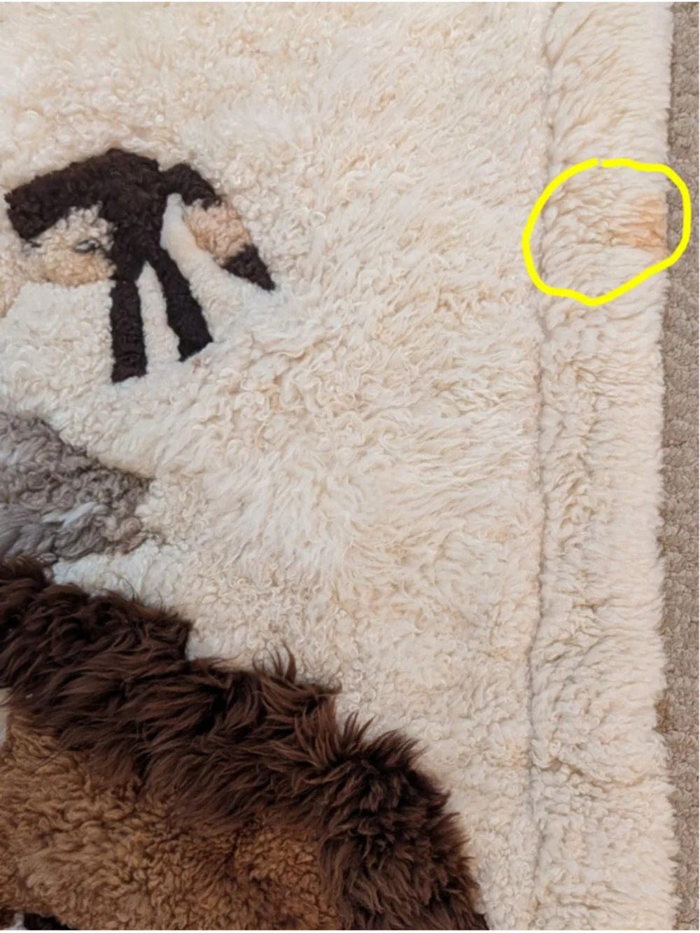 Vintage Handmade Peruvian Alpaca Horse Rug or Wall Folk Art Wool Textile 62x44